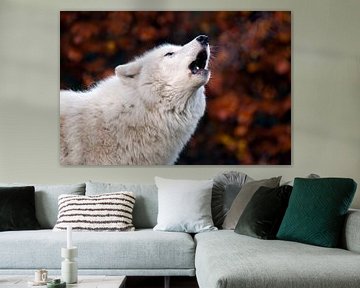 Howling Hudson Bay Wolf by Edwin Butter