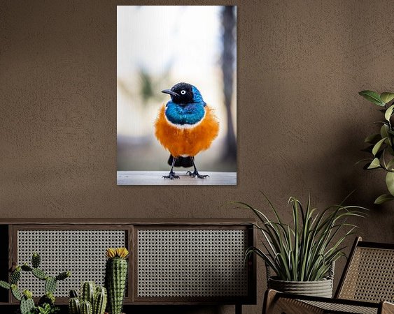 Aperçu de la chambre