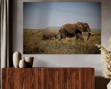 Mama olifant en babyolifant van Niels pothof
