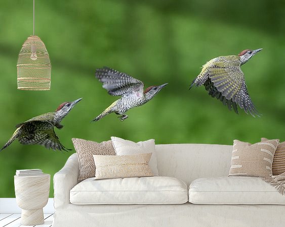 Aperçu de la chambre