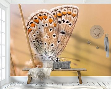 Icarus blue by Steffie van der Putten