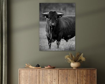 Here I am the boss by Herman Peters