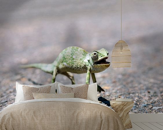 Aperçu de la chambre