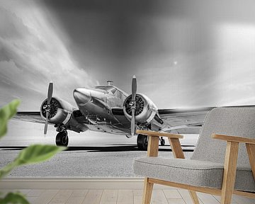 airplane by Frank Peters