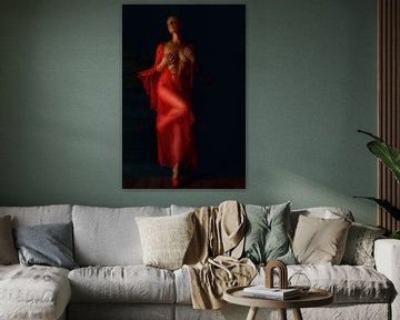 The Lady in Red van Kees de Knegt