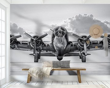 bomber by Frank Peters