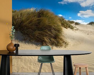 Zandduin op het Noordzeestrand