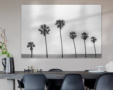 Palm trees by the sea in monochrome by Melanie Viola