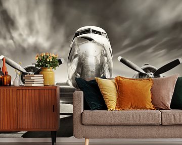 airplane by Frank Peters