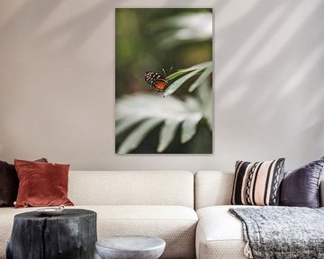 Bunter Schmetterling von Leen Van de Sande