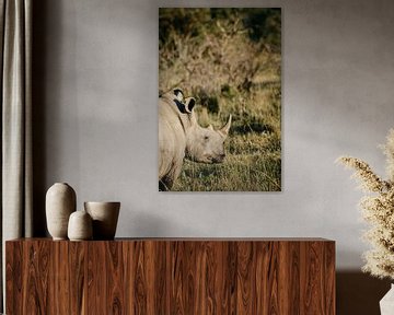 Breitmaulnashorn in Südafrika, das in die Ferne starrt von Leen Van de Sande