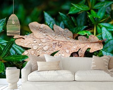 Leaf with raindrops on a hedge by Rico Ködder