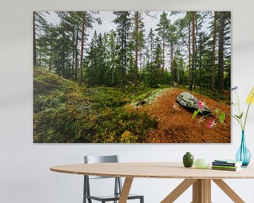 Forêt suédoise avec mousse et rochers sur Martijn Smeets