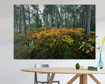 Herfstkleuren in Nationaal Park Tiveden van Martijn Smeets