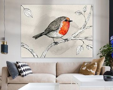 Robin, plume et encre avec aquarelle