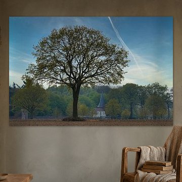 Mijn favoriete boom !