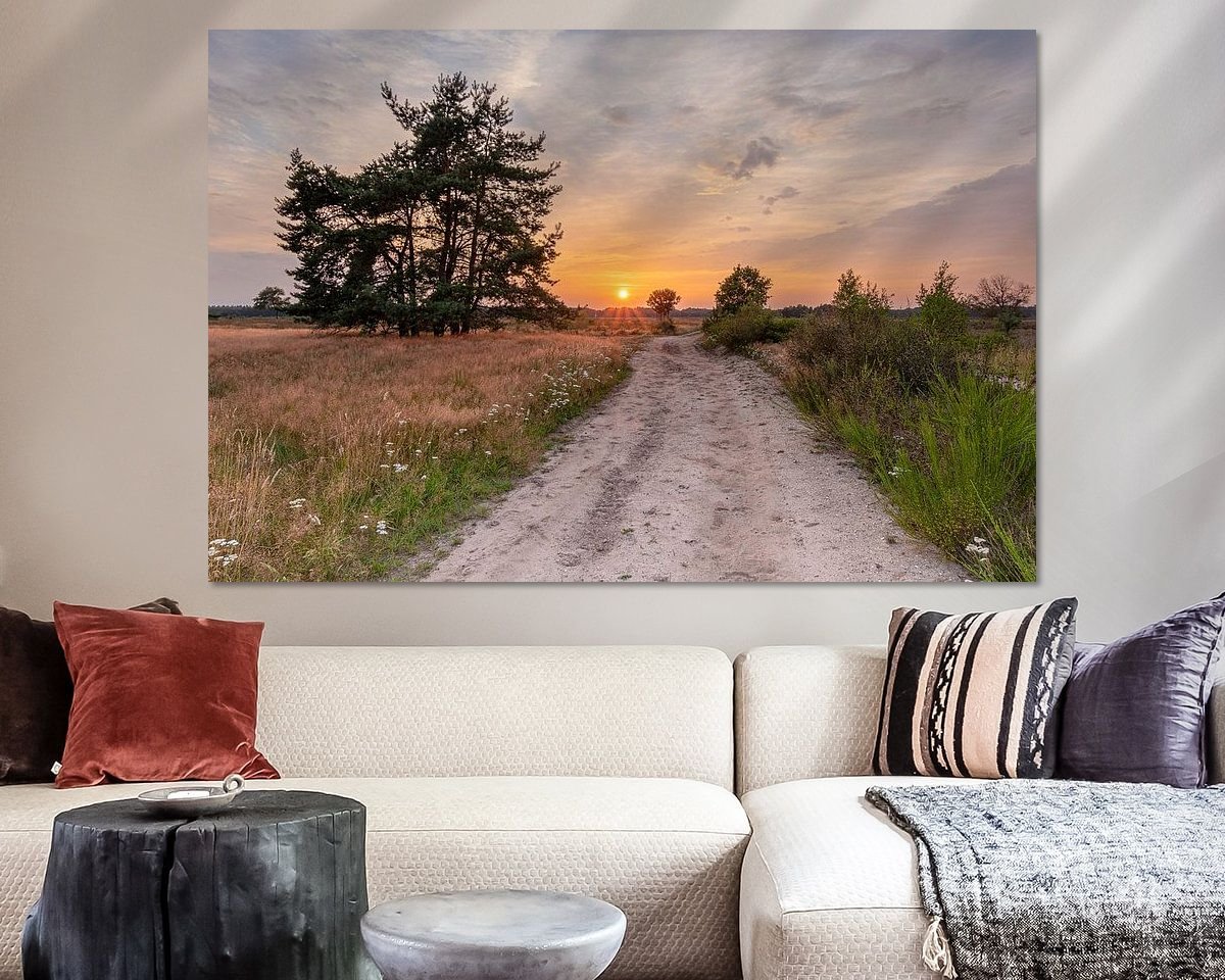 Raumvorschau