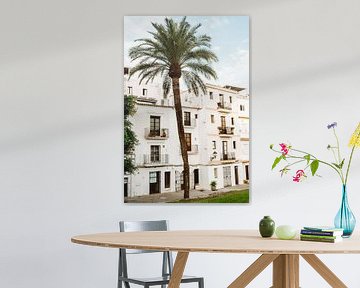 Ibiza | Palmboom en Spaanse architectuur van Amber Francis