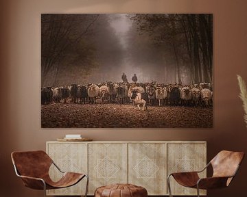 Havelte sheep herd by Tara Kiers