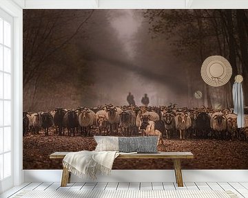Havelte sheep herd by Tara Kiers