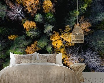 Autumn trees from above by Martijn Smeets