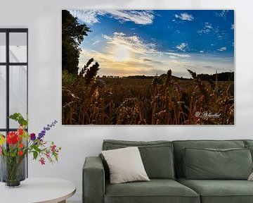 beautiful sunset the grain fields of zuidbroek