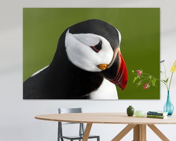 Portrait of puffin by Leny Silina Helmig