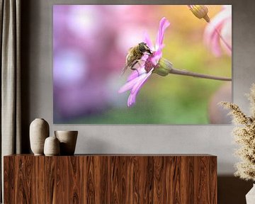 A honey bee on a pink flower by H.Remerie Photography and digital art