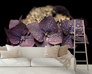 Purple Dream II by Nanouk el Gamal - Wijchers (Photonook)