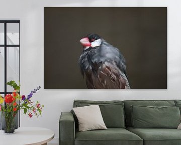 Vogel van het jaar van Erwin Pieters