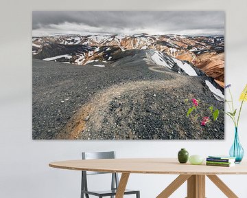 Uitzicht op de kleurrijke bergen van Landmannalaugar van Martijn Smeets