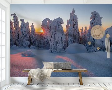 Zonnestralen door de bomen van Koli NP