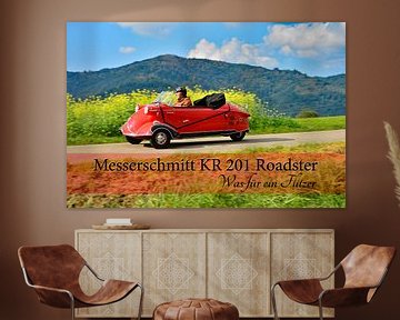 Messerschmitt KR 201 Roadster Pic 11 van Ingo Laue