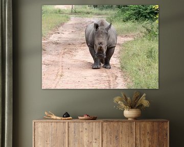 een rhino komt achter de auto aan tijdens een safari by ChrisWillemsen