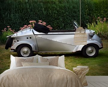 Messerschmitt TG 500 Tiger Pic 10