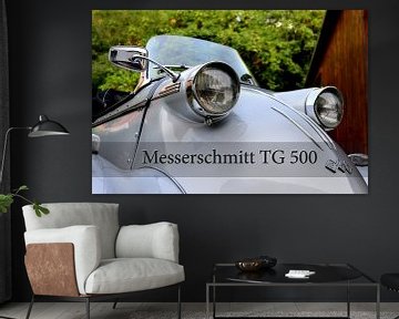 Messerschmitt TG 500 Tiger Pic 11 von Ingo Laue