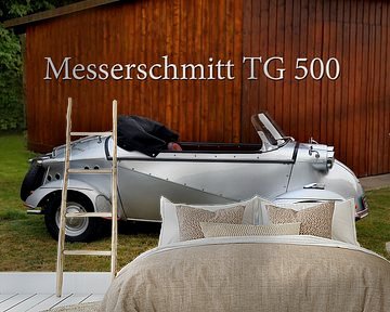 Messerschmitt TG 500 Tiger Pic 12