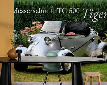 Messerschmitt TG 500 Tiger Pic 13