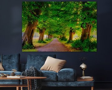 avenue of linden trees by eric van der eijk