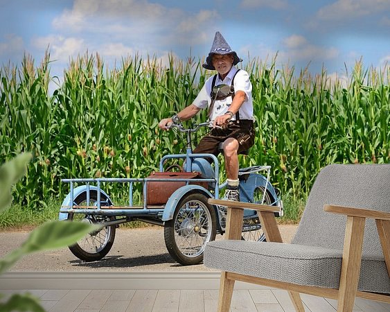 Aperçu de la chambre