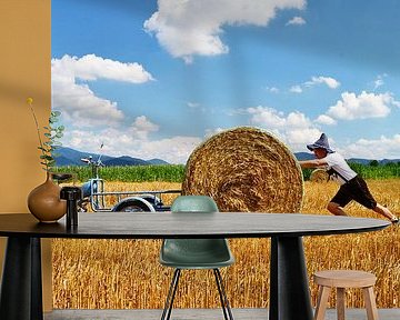 Messerschmitt Mokuli 130 A -- Pic 9