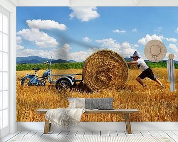 Messerschmitt Mokuli 130 A -- Pic 10