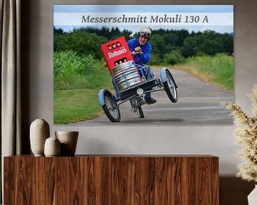 Messerschmitt Mokuli 130 A -- Foto 22 van Ingo Laue