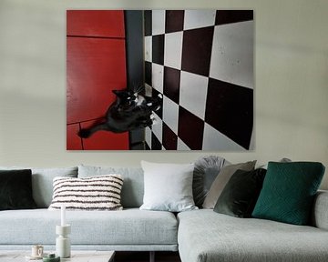 Chat dans la cuisine sur Jess vG