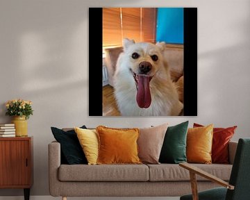 Chien dans le salon/ Chien à l'intérieur sur Jess vG