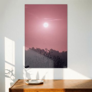 Sonnenuntergang in den Schindveldse Bossen