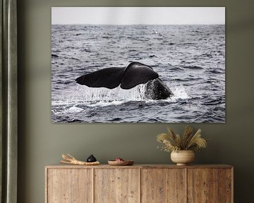 Chute d'eau sur la queue de la baleine sur Martijn Smeets