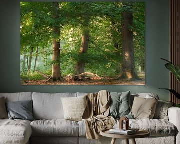 Le chêne et le hêtre sur Kees van Dongen