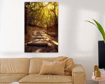 Hiking trail in Anaga Mountains Tenerife by Steffen Henze