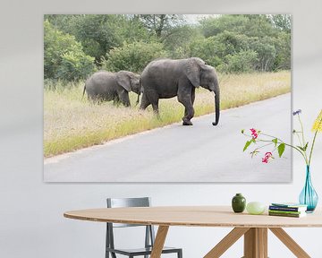 elephant crossong the road in kruger park von ChrisWillemsen